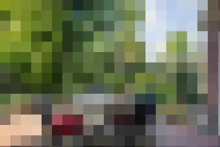 De Croon 8 Almelo thumbnail 21
