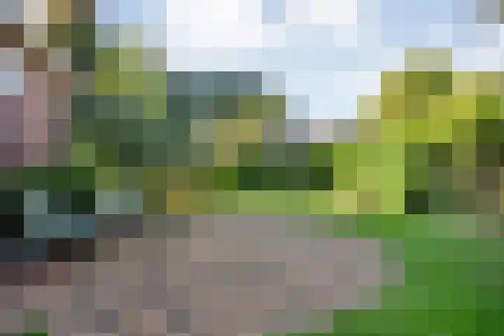 De Croon 8 Almelo thumbnail 23