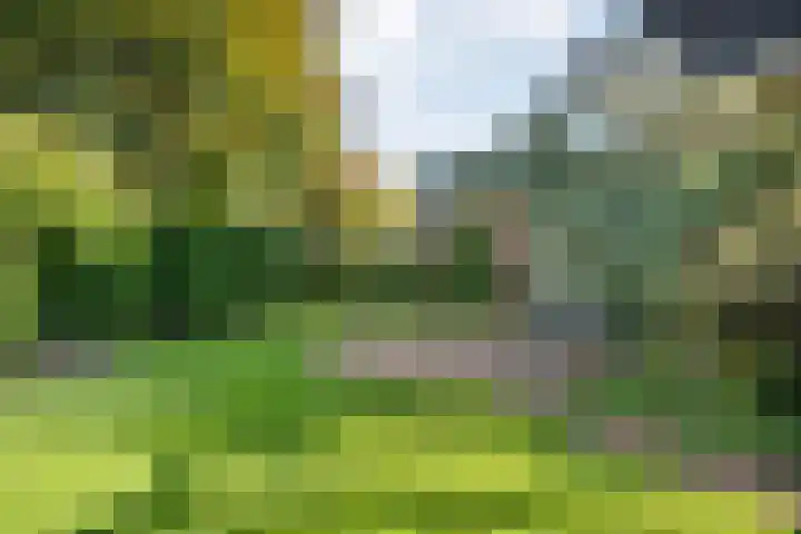 De Croon 8 Almelo thumbnail 24