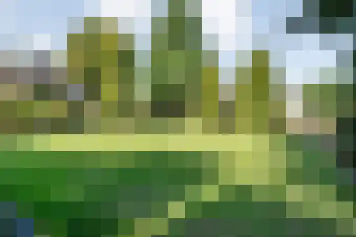 De Croon 8 Almelo thumbnail 25