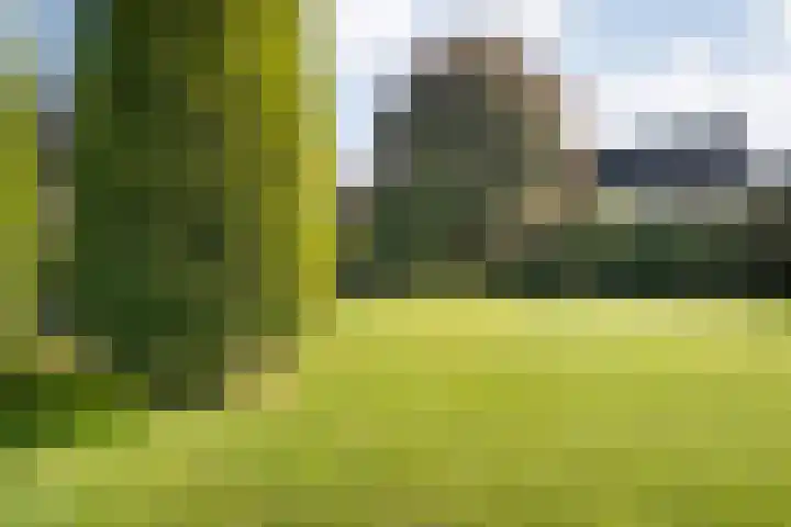 De Croon 8 Almelo thumbnail 26