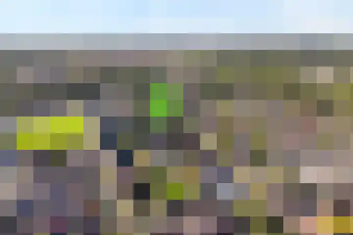 De Croon 8 Almelo thumbnail 28