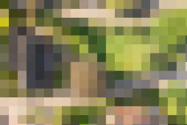 De Croon 8 Almelo thumbnail 4