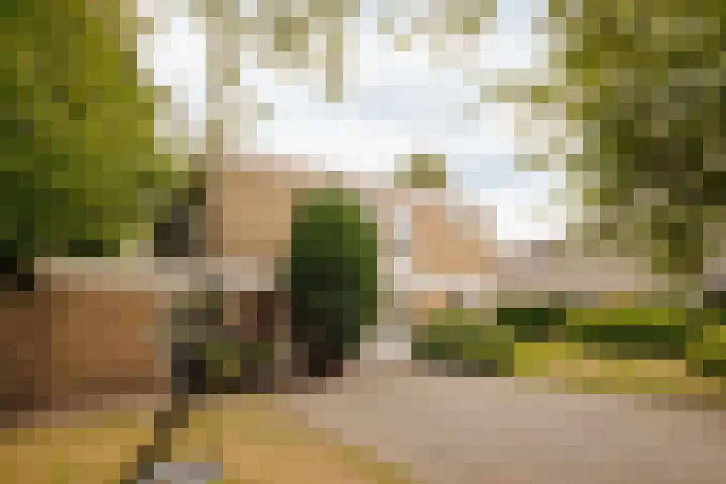 De Cuserstraat 5 Amsterdam thumbnail 5