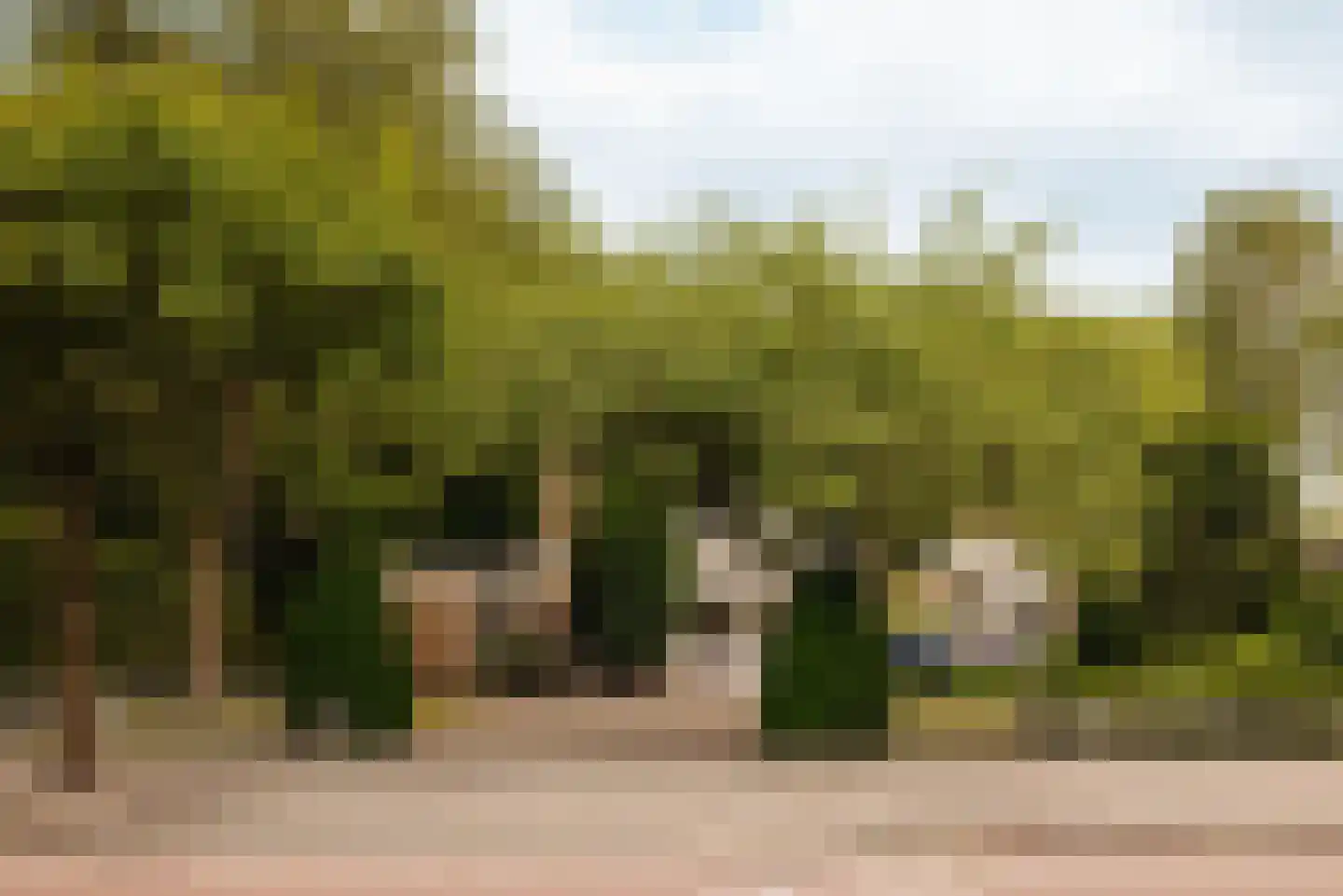 De Cuserstraat 5 Amsterdam thumbnail 7