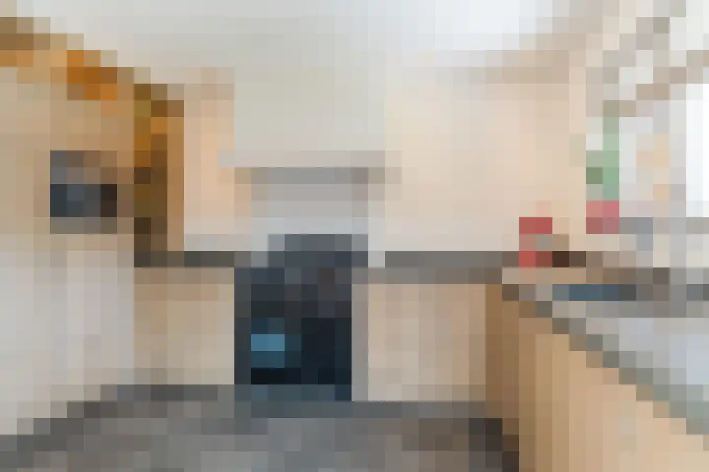 De Daal 29 Nuenen thumbnail 12