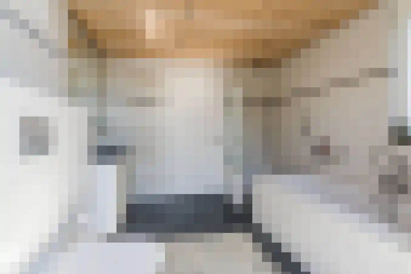 De Daal 29 Nuenen thumbnail 30