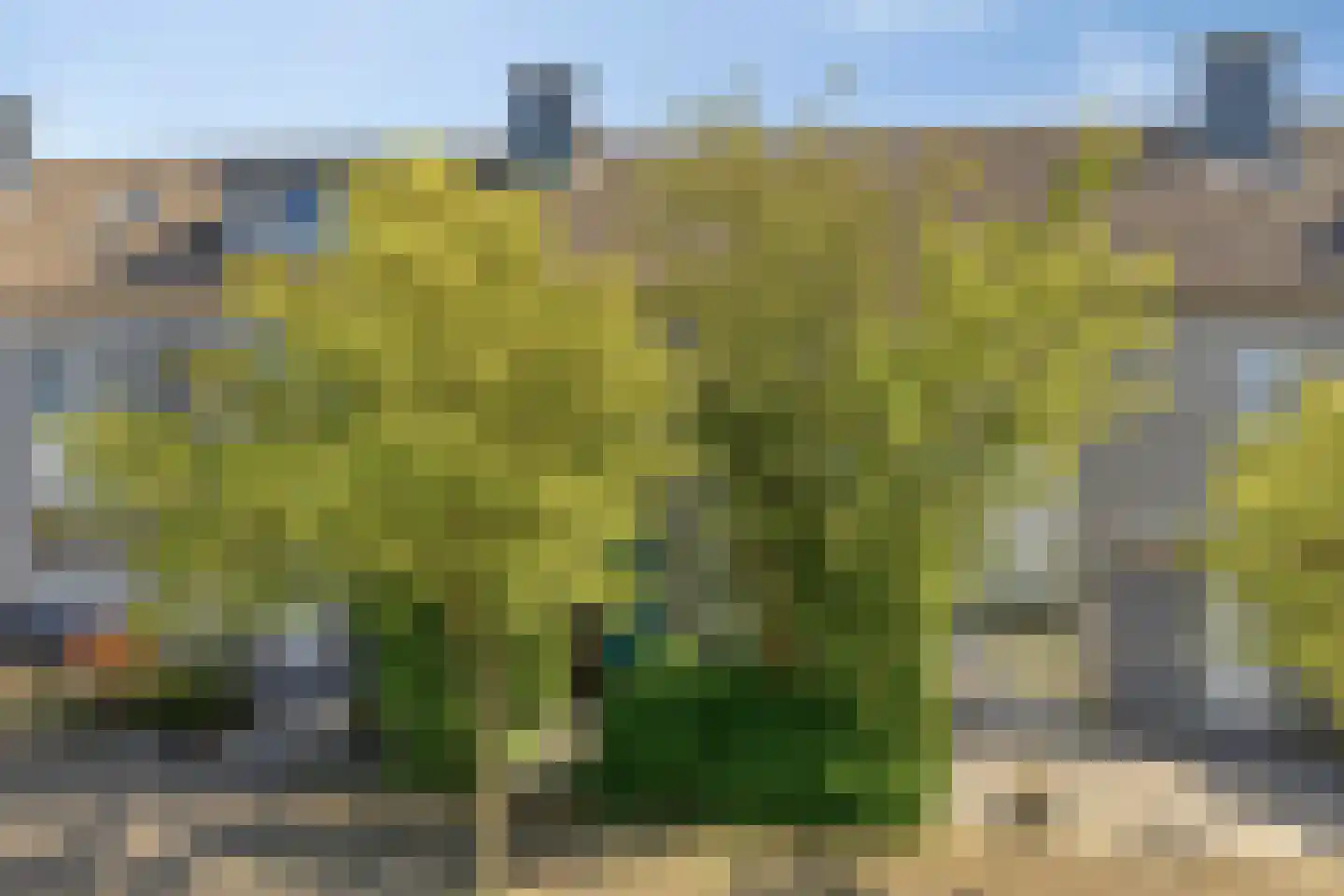 De Dadelboom 69 en Uitgeest