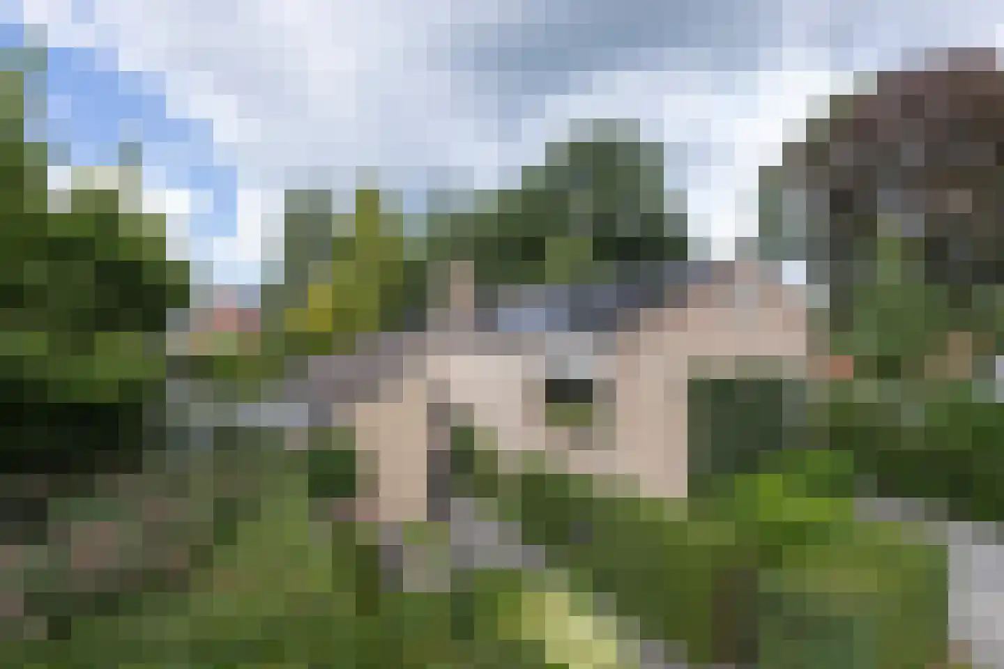 De Dael 5 Groenlo thumbnail 34