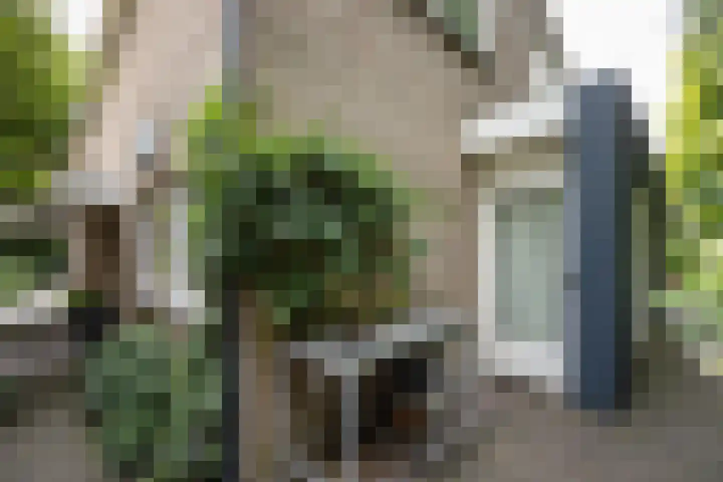 De Dael 5 Groenlo thumbnail 36