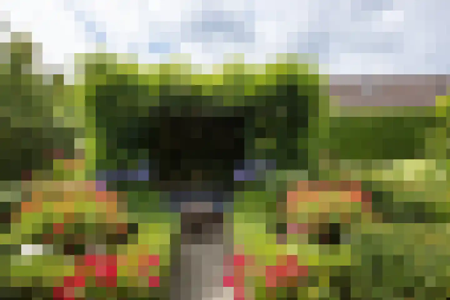 De Dael 5 Groenlo thumbnail 37