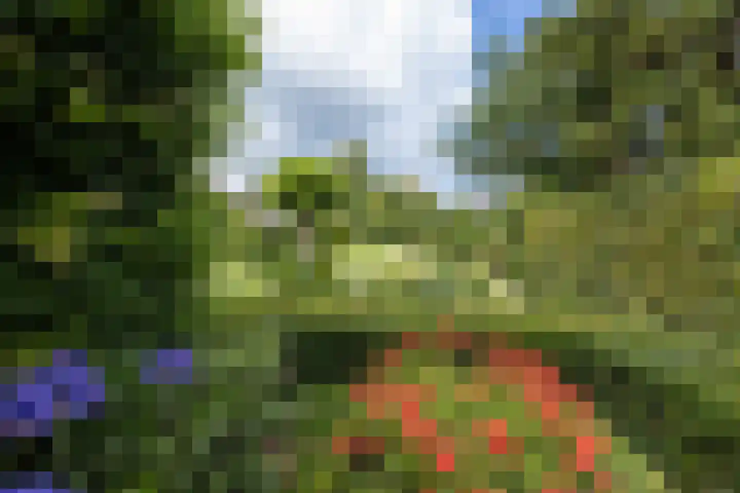 De Dael 5 Groenlo thumbnail 38