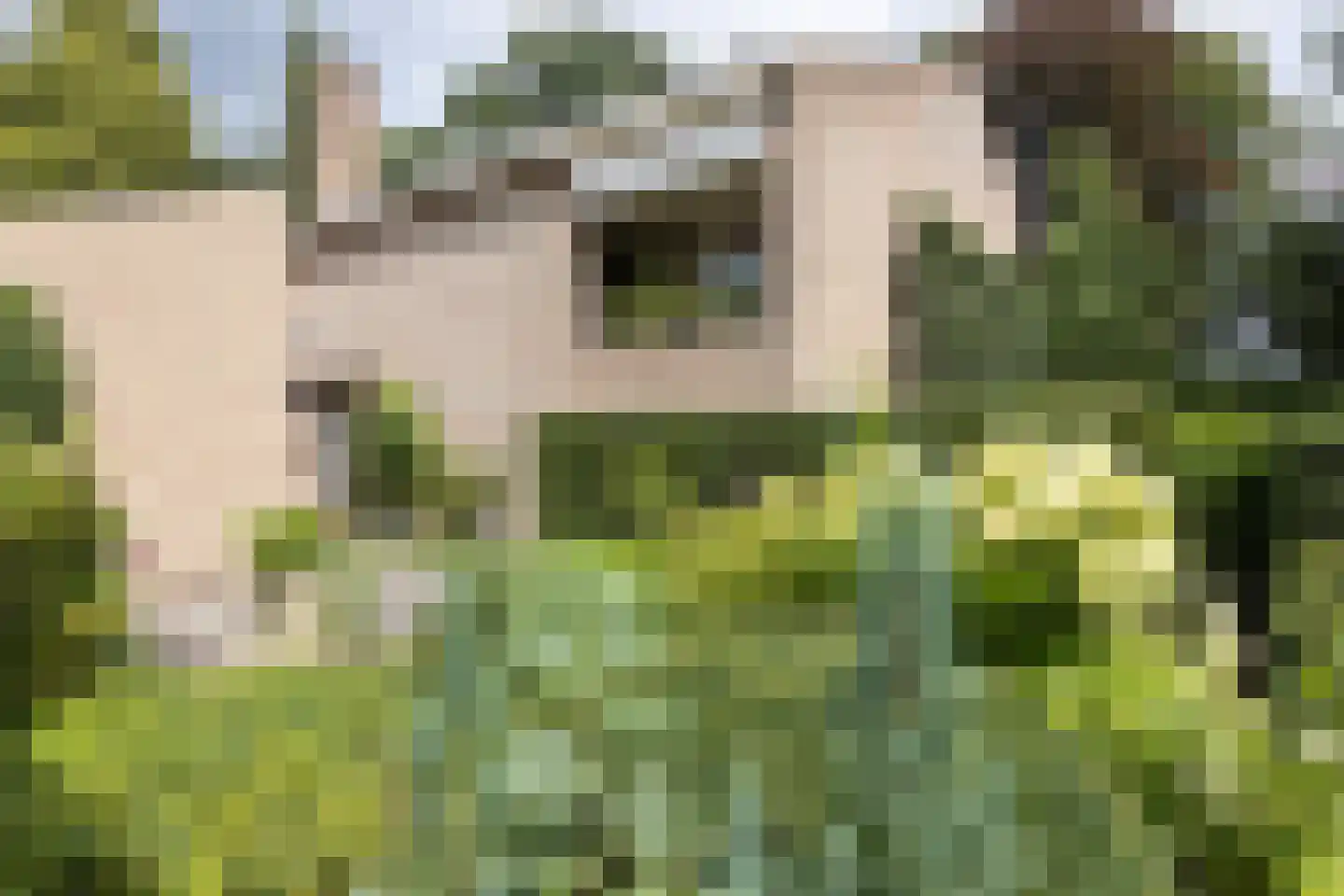 De Dael 5 Groenlo thumbnail 39