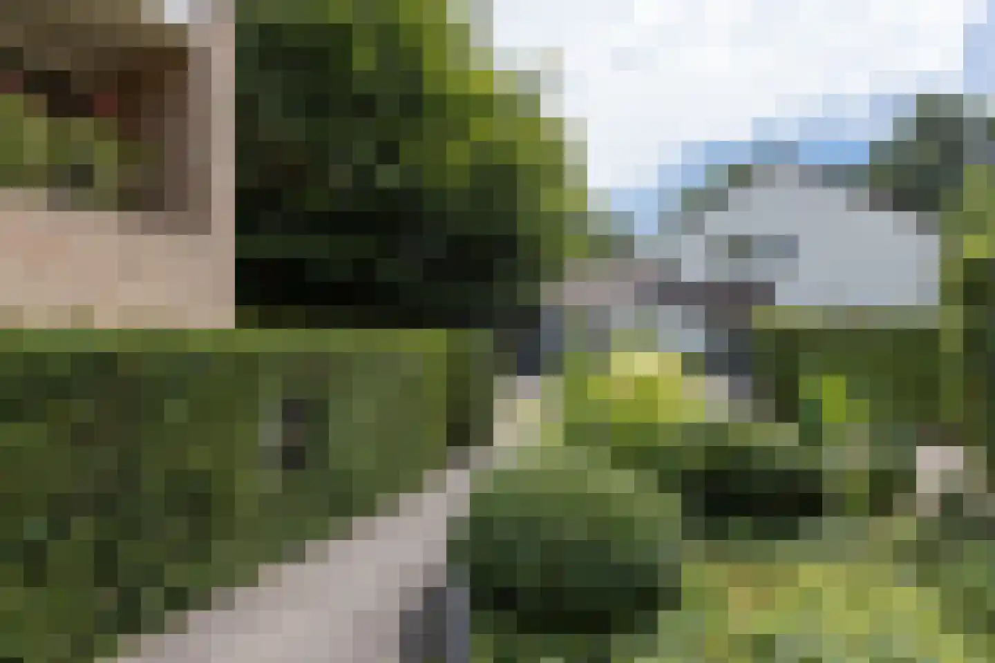 De Dael 5 Groenlo thumbnail 40