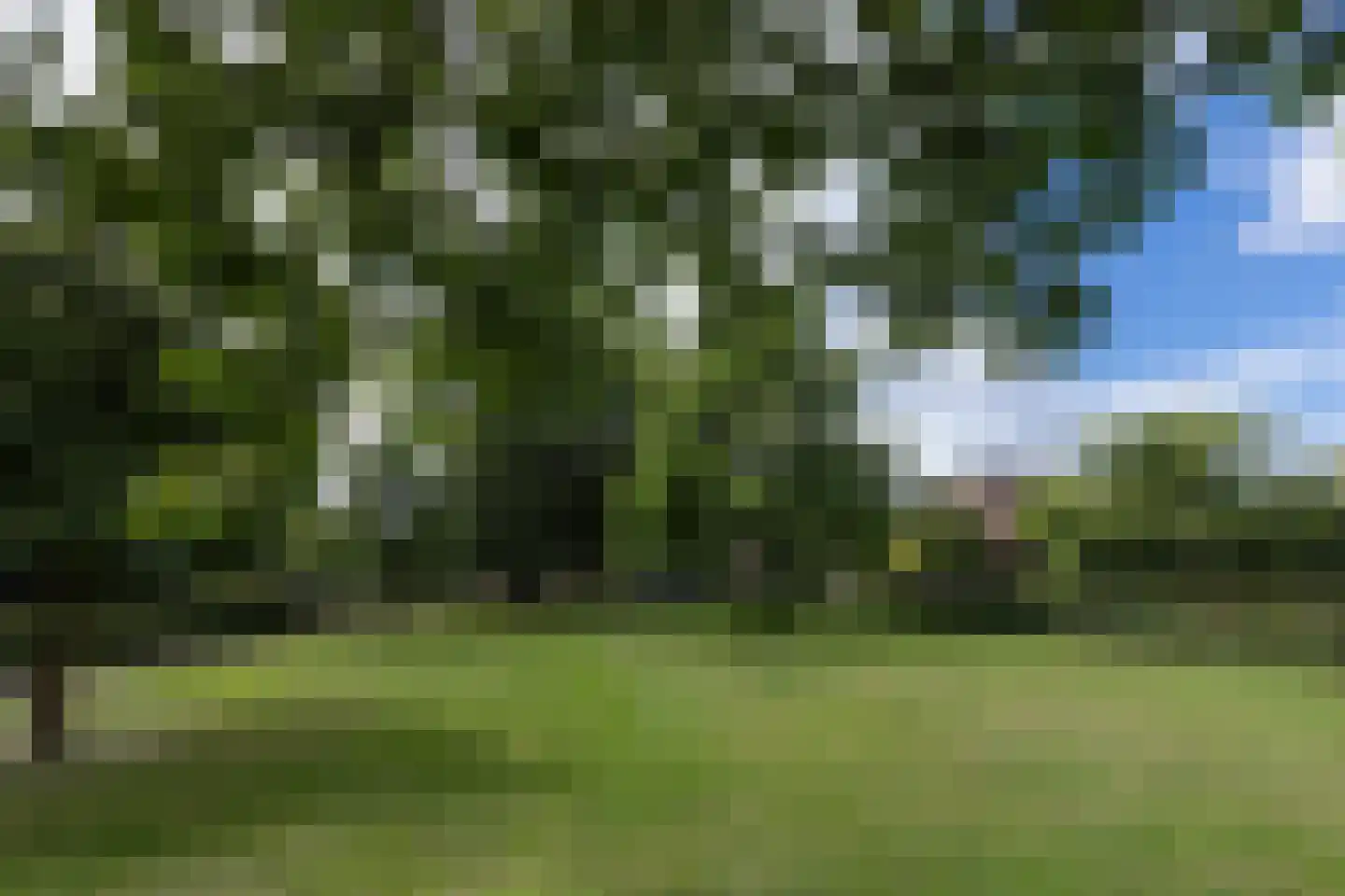 De Dael 5 Groenlo thumbnail 41