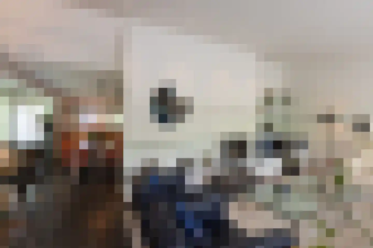De Dael 5 Groenlo thumbnail 7