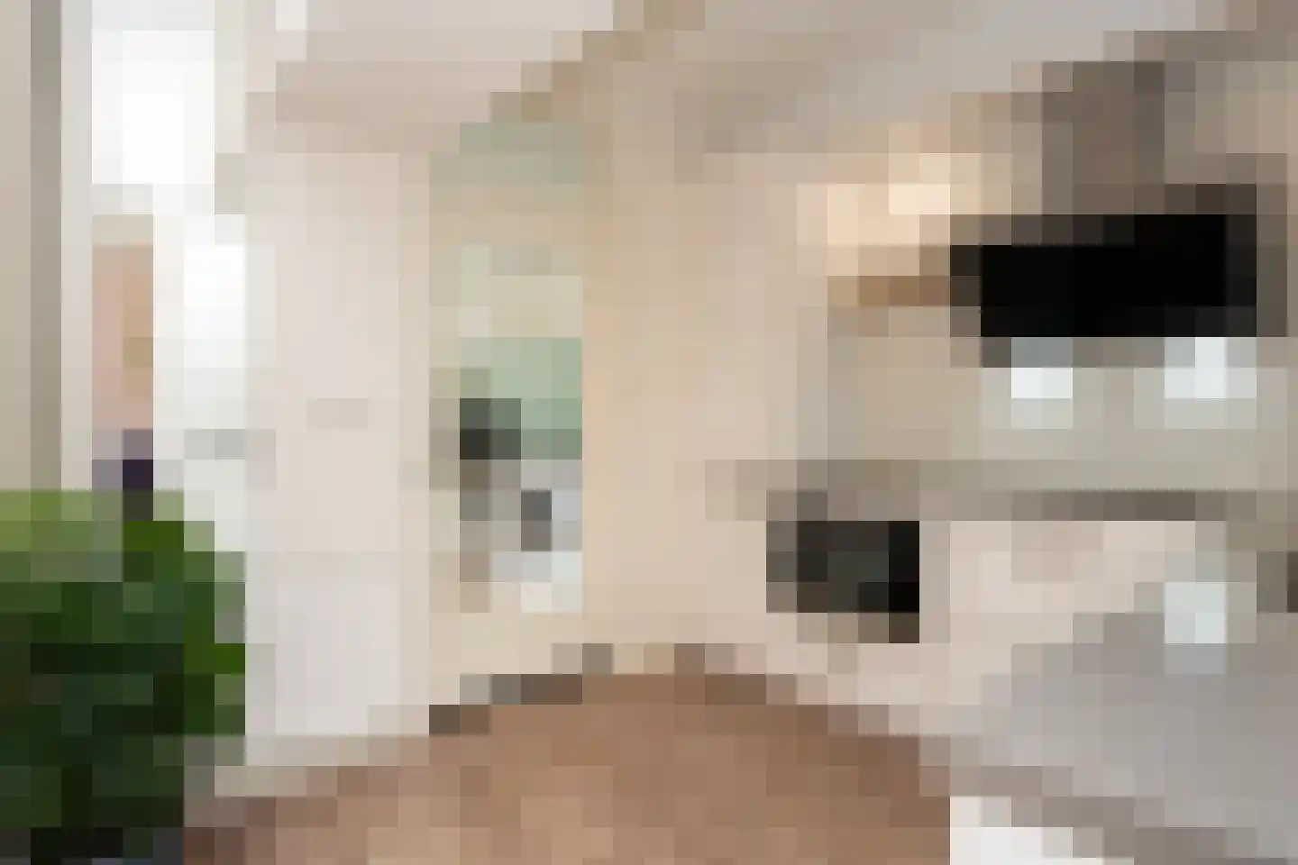 De Dageraad 10 Den Hoorn thumbnail 17
