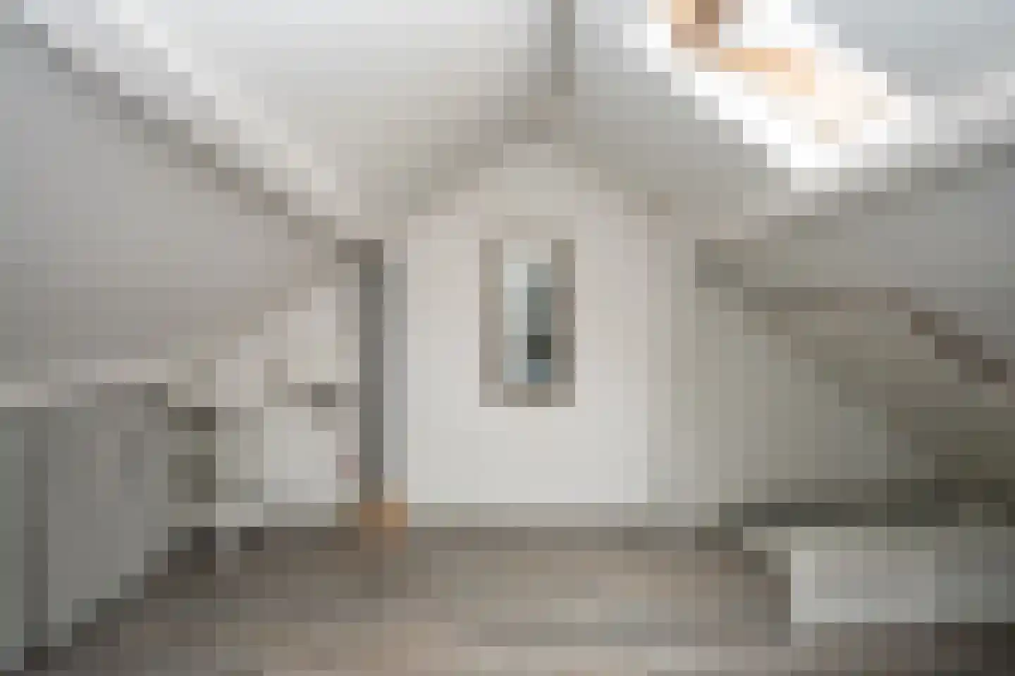 De Dageraad 10 Den Hoorn thumbnail 48