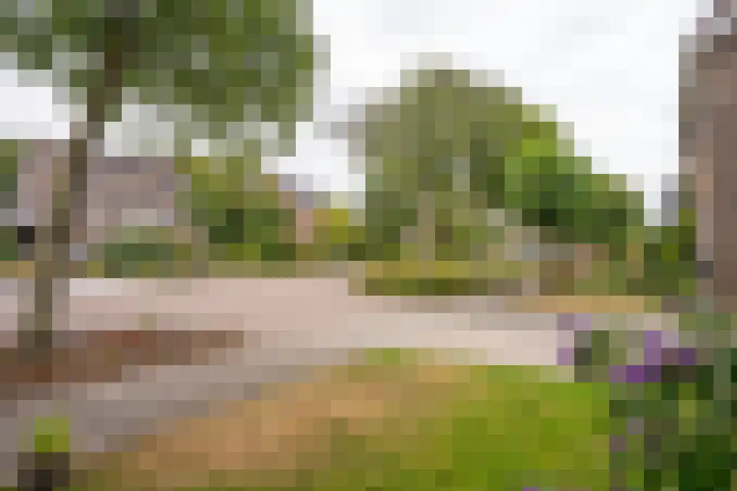 De Dageraad 10 Den Hoorn thumbnail 68