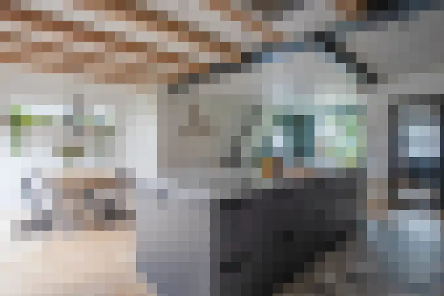 De Dageraad 12 Den Hoorn thumbnail 11