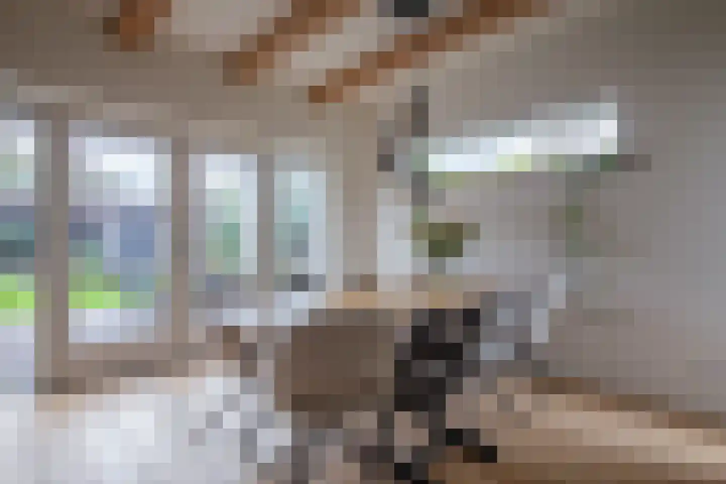 De Dageraad 12 Den Hoorn thumbnail 13