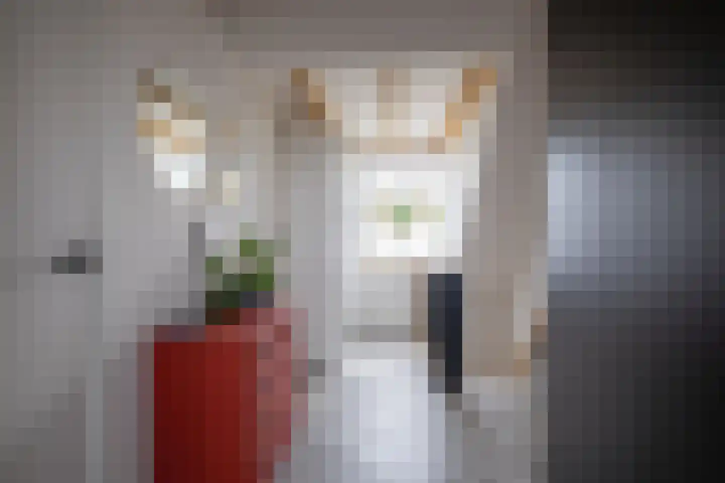 De Dageraad 12 Den Hoorn thumbnail 27