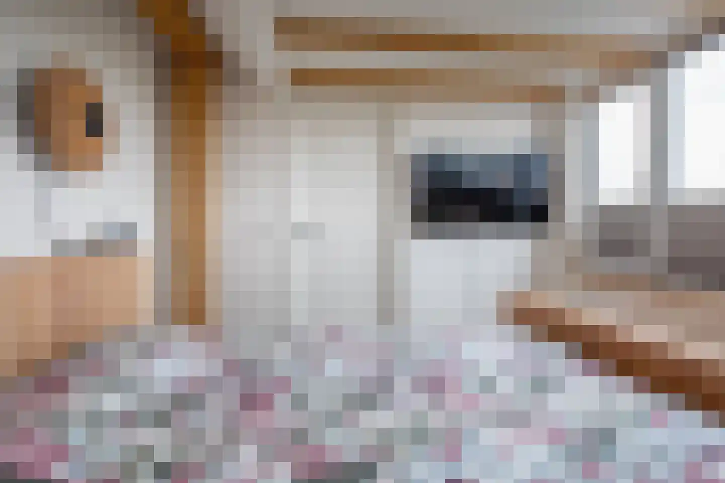 De Dageraad 12 Den Hoorn thumbnail 29