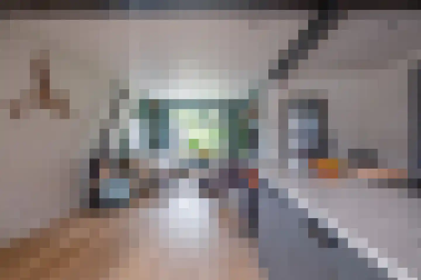 De Dageraad 12 Den Hoorn thumbnail 8