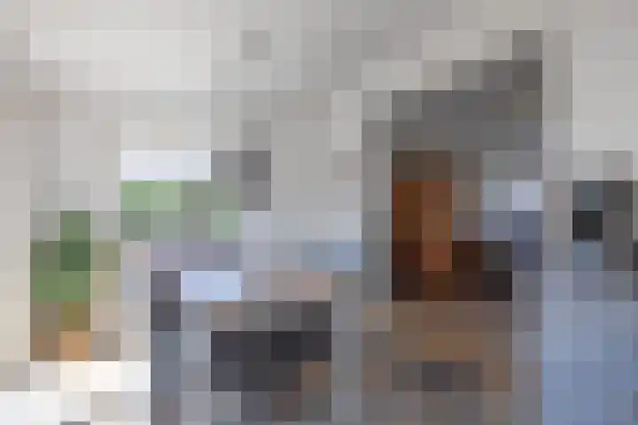 De Dageraad 4 Den Hoorn thumbnail 10