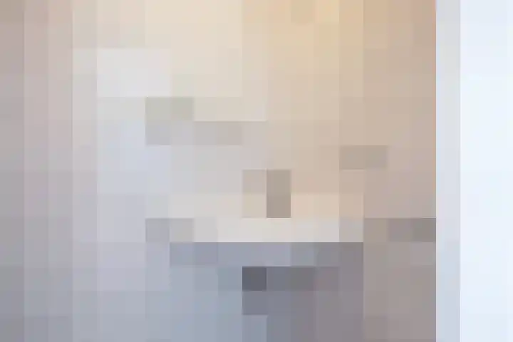 De Dageraad 4 Den Hoorn thumbnail 22
