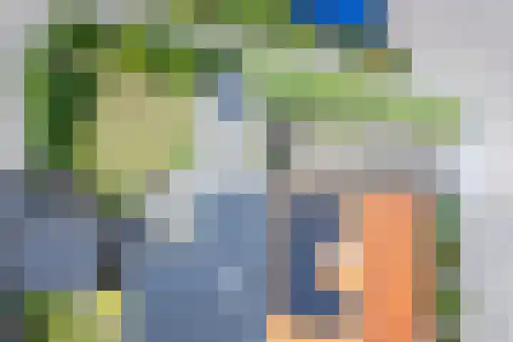 De Dageraad 4 Den Hoorn thumbnail 27