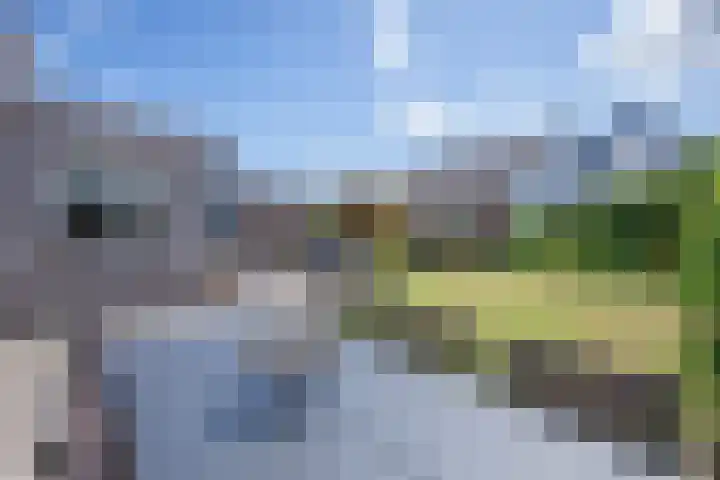 De Dageraad 4 Den Hoorn thumbnail 29