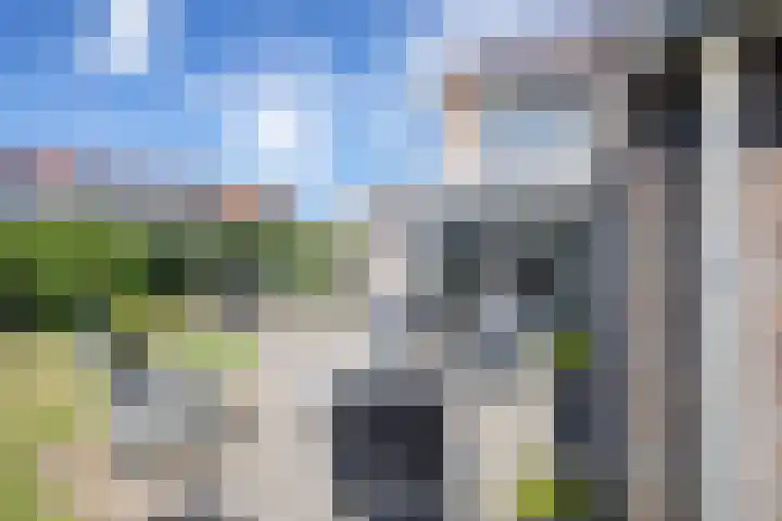 De Dageraad 4 Den Hoorn thumbnail 30