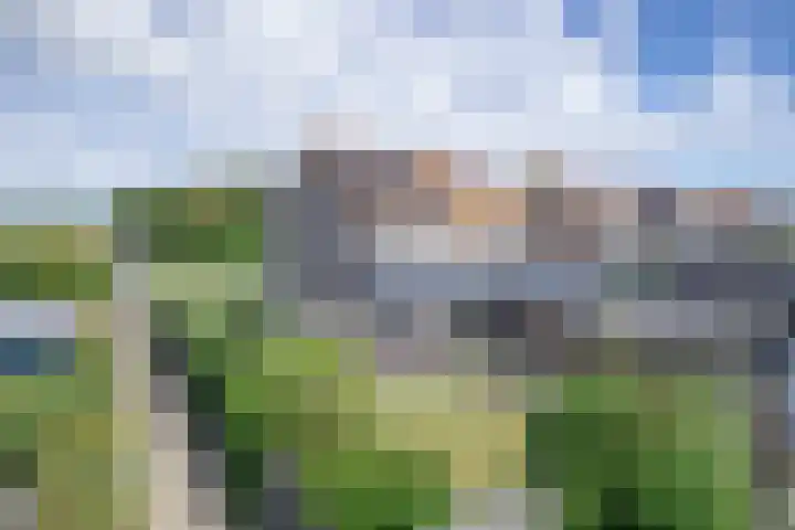 De Dageraad 4 Den Hoorn thumbnail 33