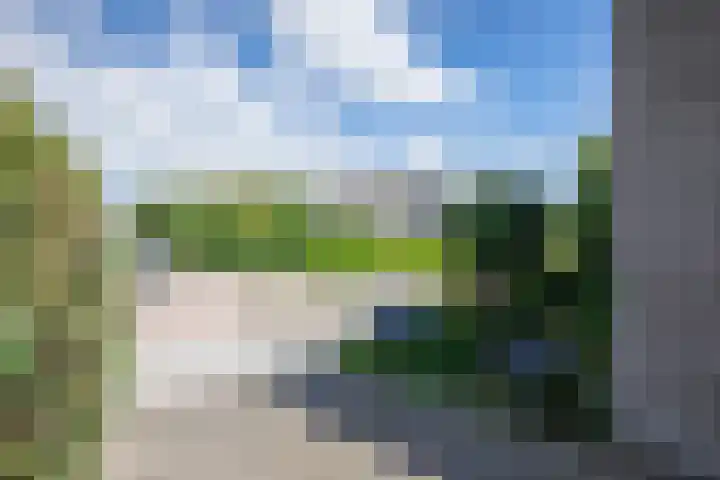 De Dageraad 4 Den Hoorn thumbnail 34