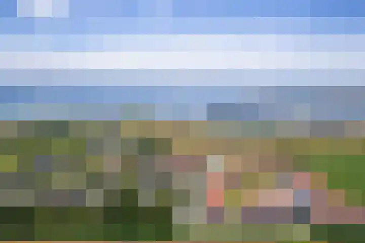 De Dageraad 4 Den Hoorn thumbnail 35