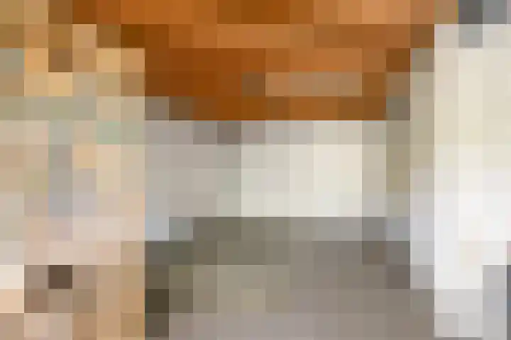 De Dagmaat 48 Dronten thumbnail 30