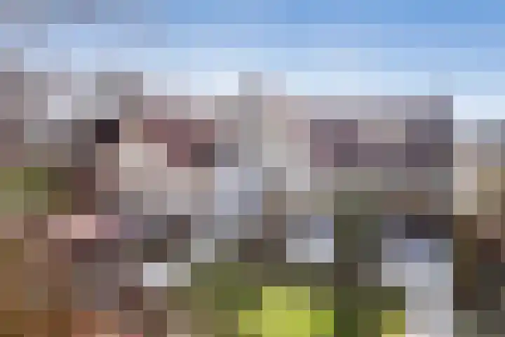 De Dagmaat 48 Dronten thumbnail 4