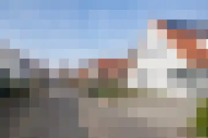 De Dagmaat 48 Dronten thumbnail 60