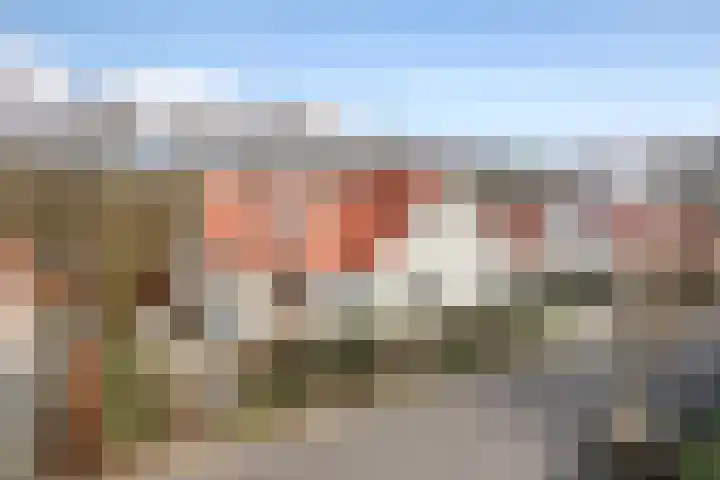 De Dagmaat 48 Dronten thumbnail 62