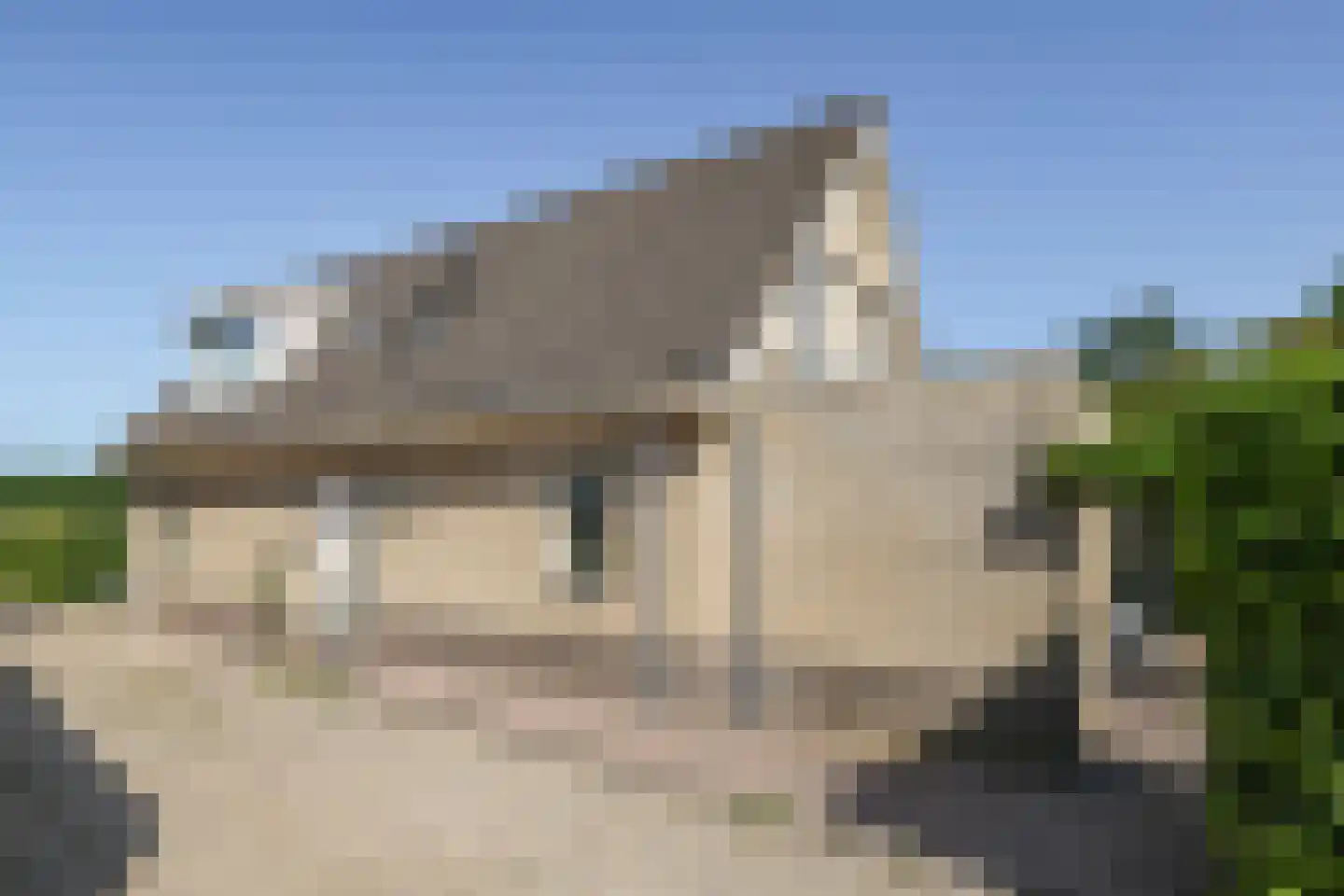De Dam 1 Andelst thumbnail 10