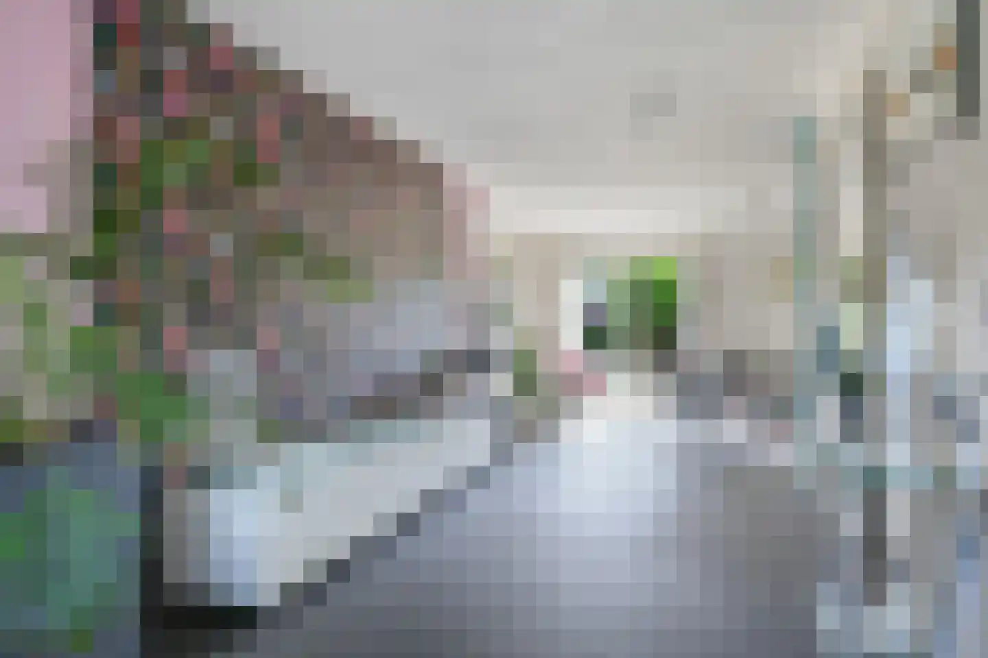 De Dam 1 Andelst thumbnail 14