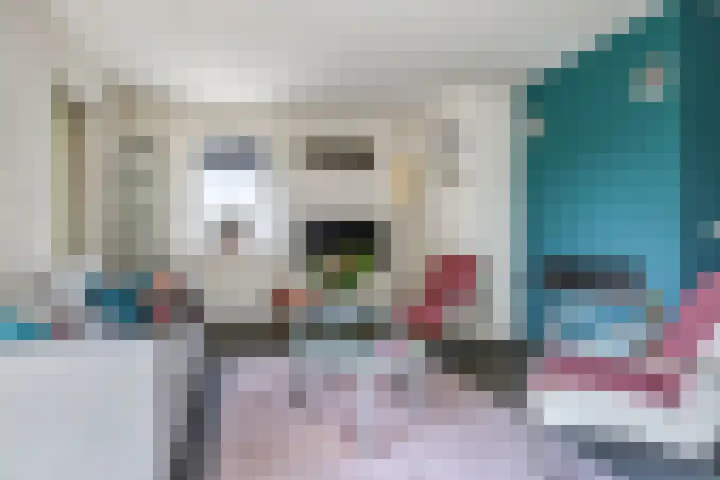 De Dam 1 Andelst thumbnail 18