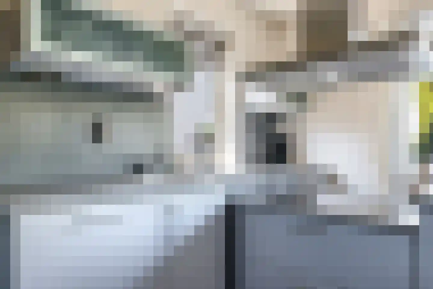 De Dam 1 Andelst thumbnail 29