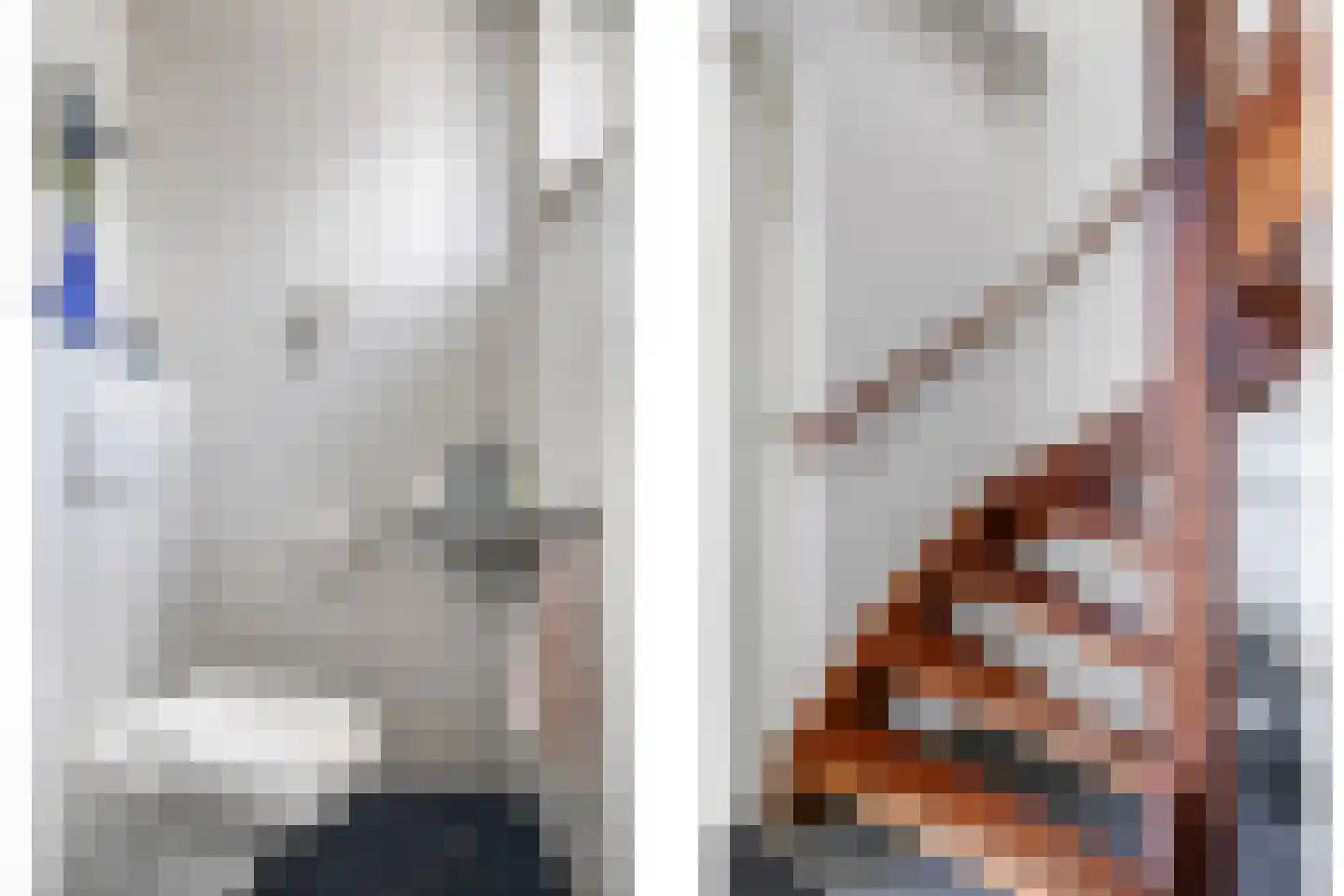 De Dam 1 Andelst thumbnail 36