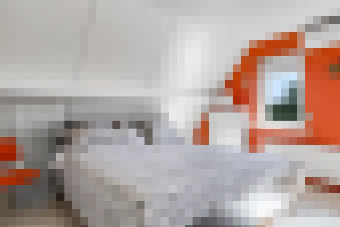 De Dam 1 Andelst thumbnail 39
