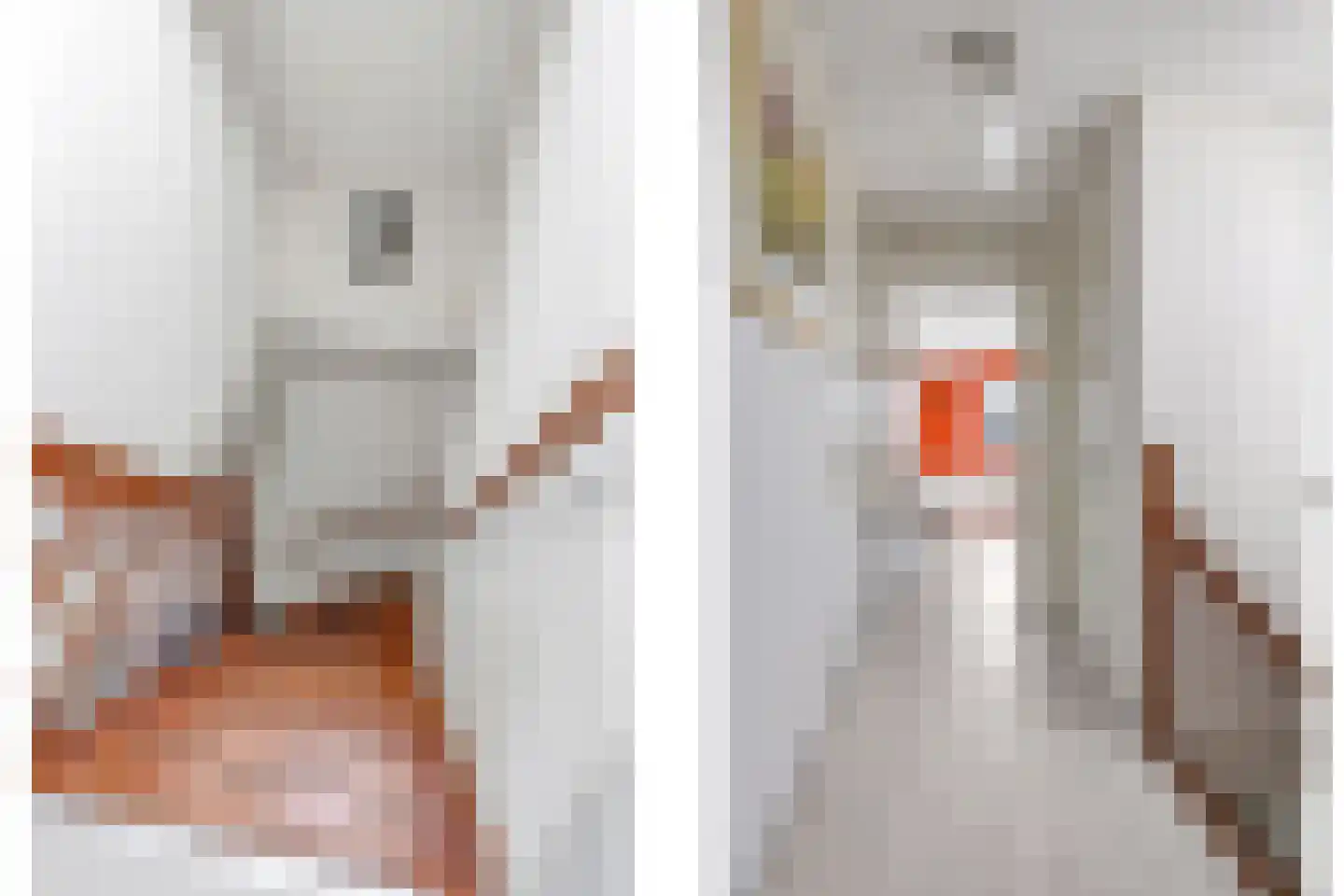 De Dam 1 Andelst thumbnail 49