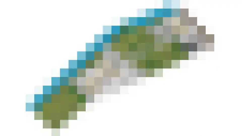 De Dam 1 Andelst thumbnail 54