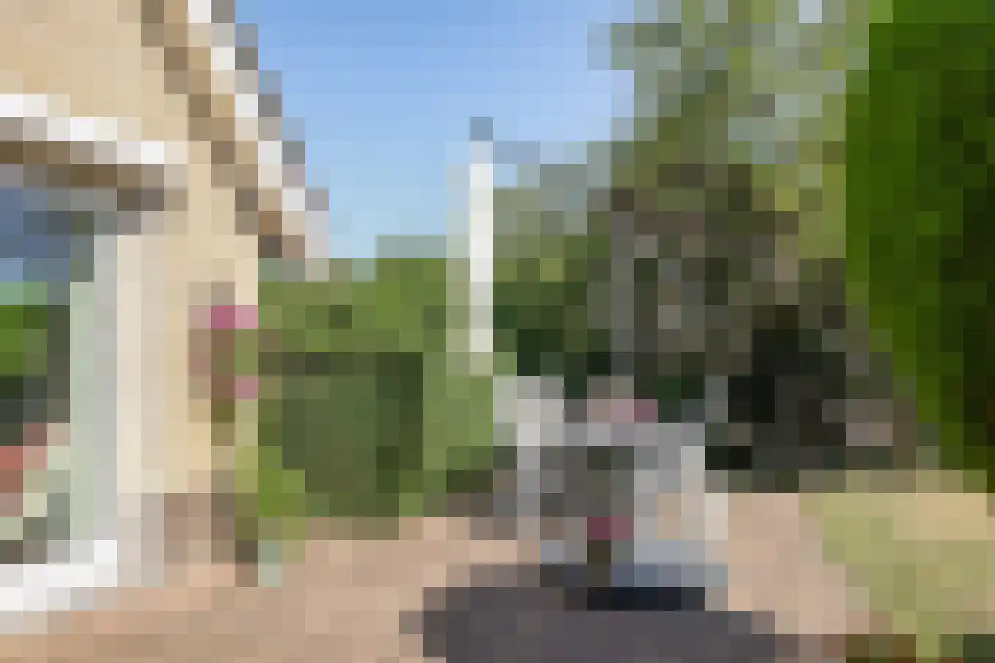 De Dam 1 Andelst thumbnail 57