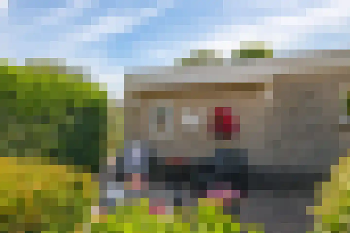 De Dam 1 Andelst thumbnail 61
